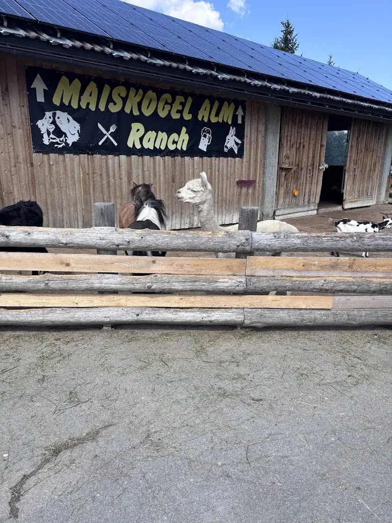 Maiskogel Alm Ranch_Kaprun_slider_image_3