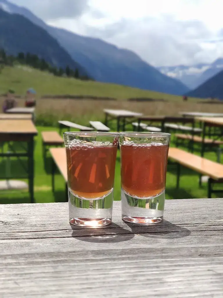 Menu_Veiten Alm_Krimml_image_8