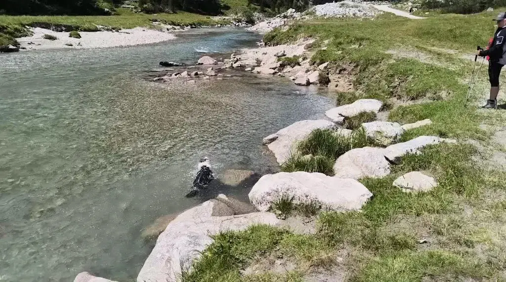 Veiten Alm_Krimml_slider_image_2