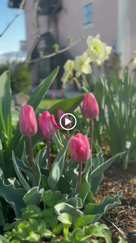 Stiegerschlössl Maishofen_Maishofen_slider_image_2