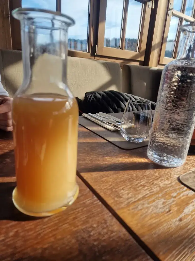 vasilescu constantin_Schloss Mattsee_Mattsee_avis