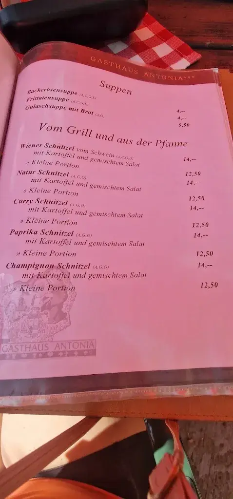 Menu_Gasthaus Antonia_Lofer_immagine_1