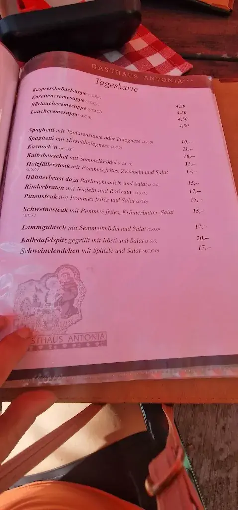Menu_Gasthaus Antonia_Lofer_immagine_2