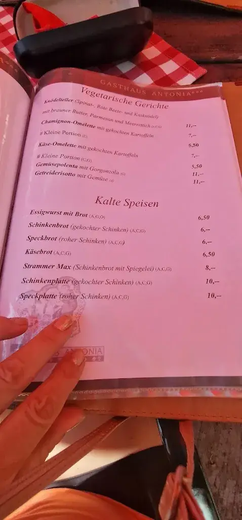 Menu_Gasthaus Antonia_Lofer_immagine_3