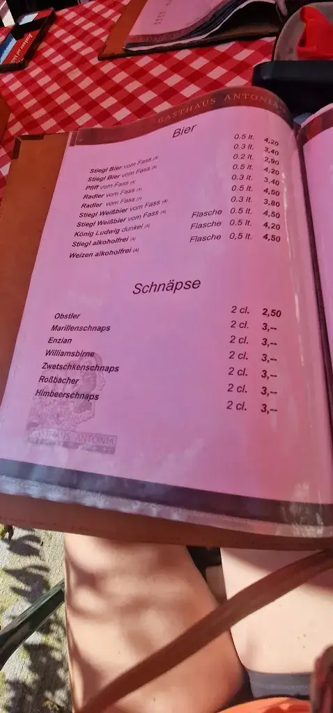 Menu_Gasthaus Antonia_Lofer_immagine_4