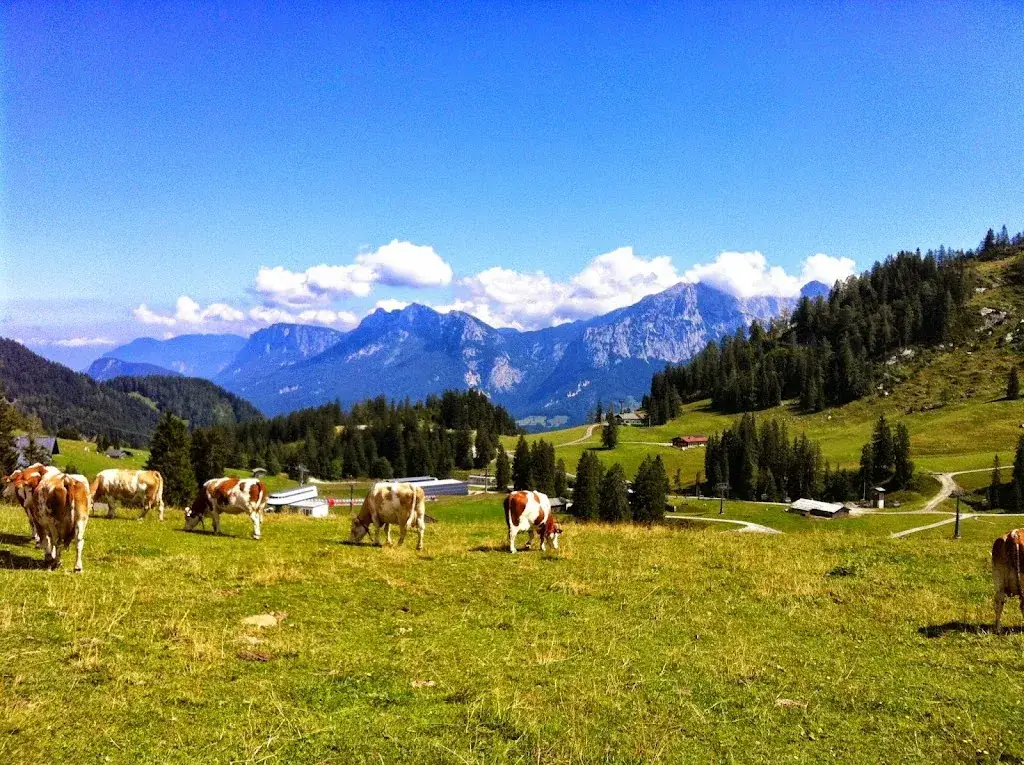 Werner S. (MAC2214JV)_Berggasthof Schönblick_Lofer_recensione
