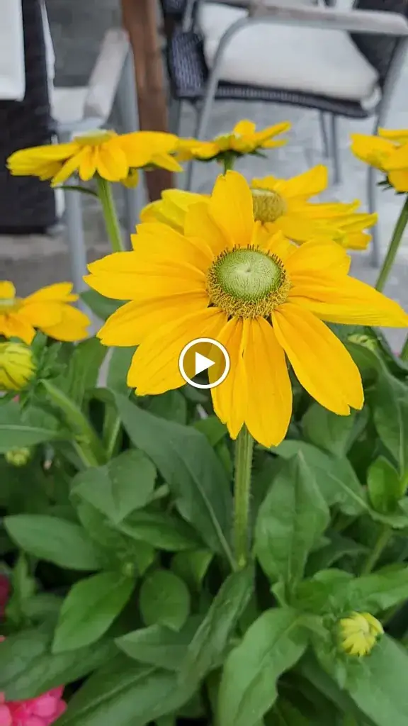 Haus Loderbichl_Lofer_slider_image_2