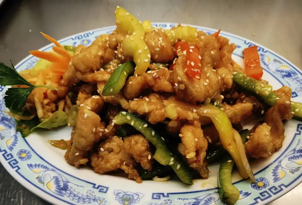 Menu_Asia Cuisine LOTUS Mittersill_Mittersill_immagine_9