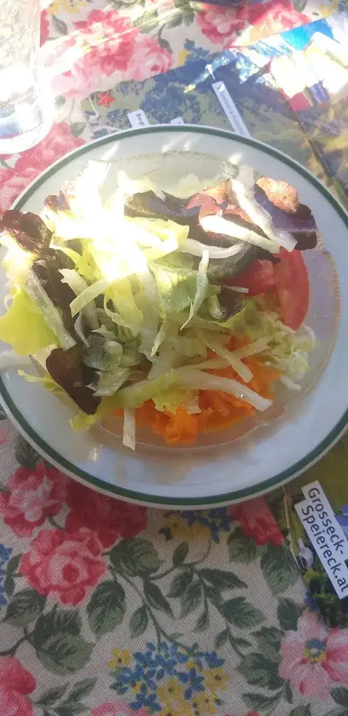 Menu_Gasthof Brunnerwirt_Mauterndorf_immagine_4