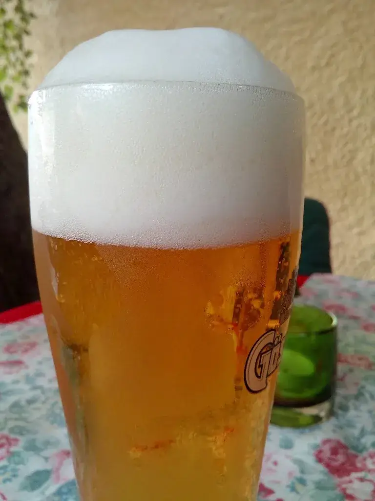 Menu_Gasthof Brunnerwirt_Mauterndorf_immagine_5