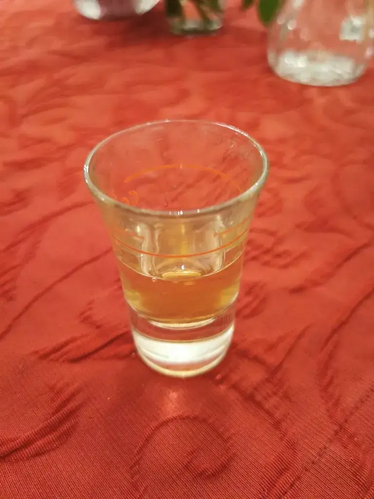 Menu_Gasthof Brunnerwirt_Mauterndorf_immagine_9