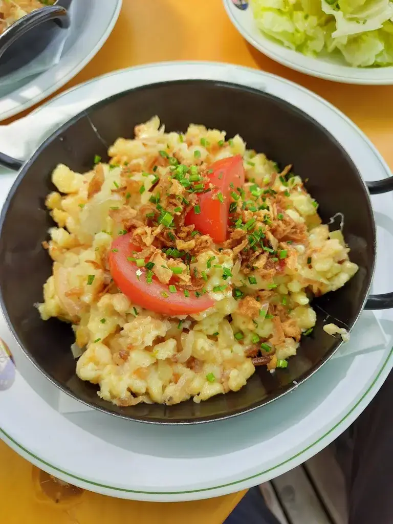 Menu_Panorama Alm Mauterndorf_Mauterndorf_image_8