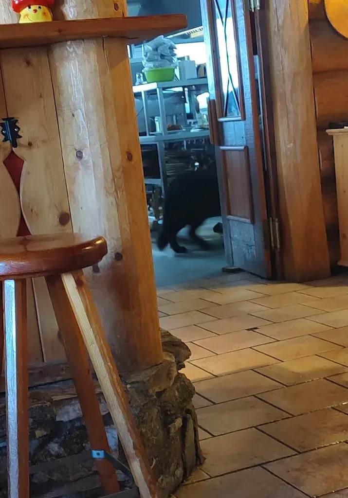 Nul is lost_Oberfeld Alm_Mauterndorf_recensione