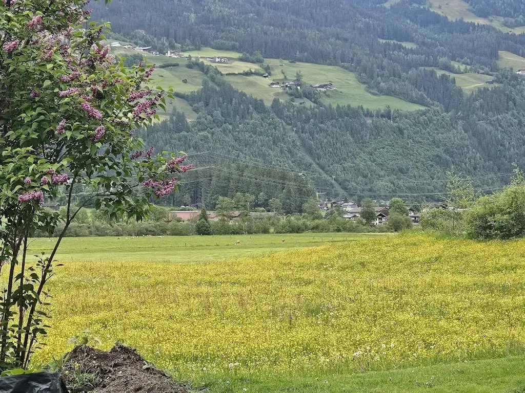 Z_Gasthof Schütthof_Neukirchen am Großvenediger_avis