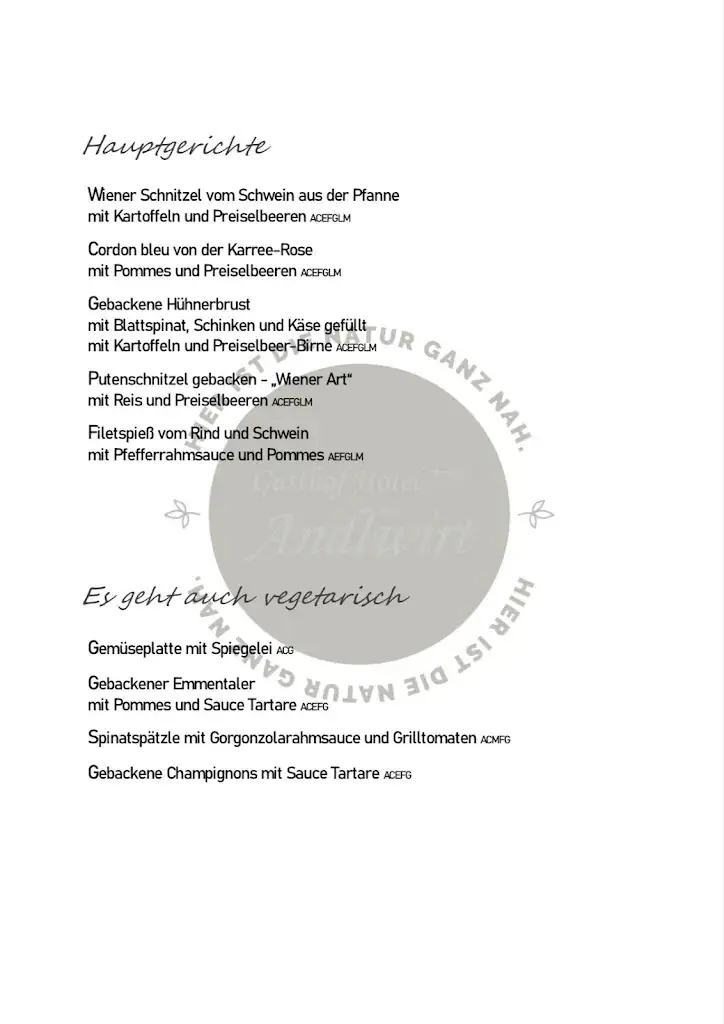Menu_Gastof Hotel Andlwirt_Mariapfarr_immagine_4