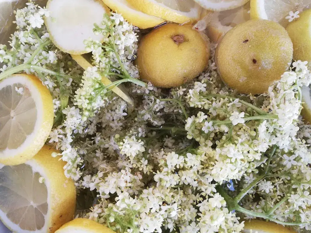 Menu_Rene's Feldküche - Fanning91_Mariapfarr_immagine_8