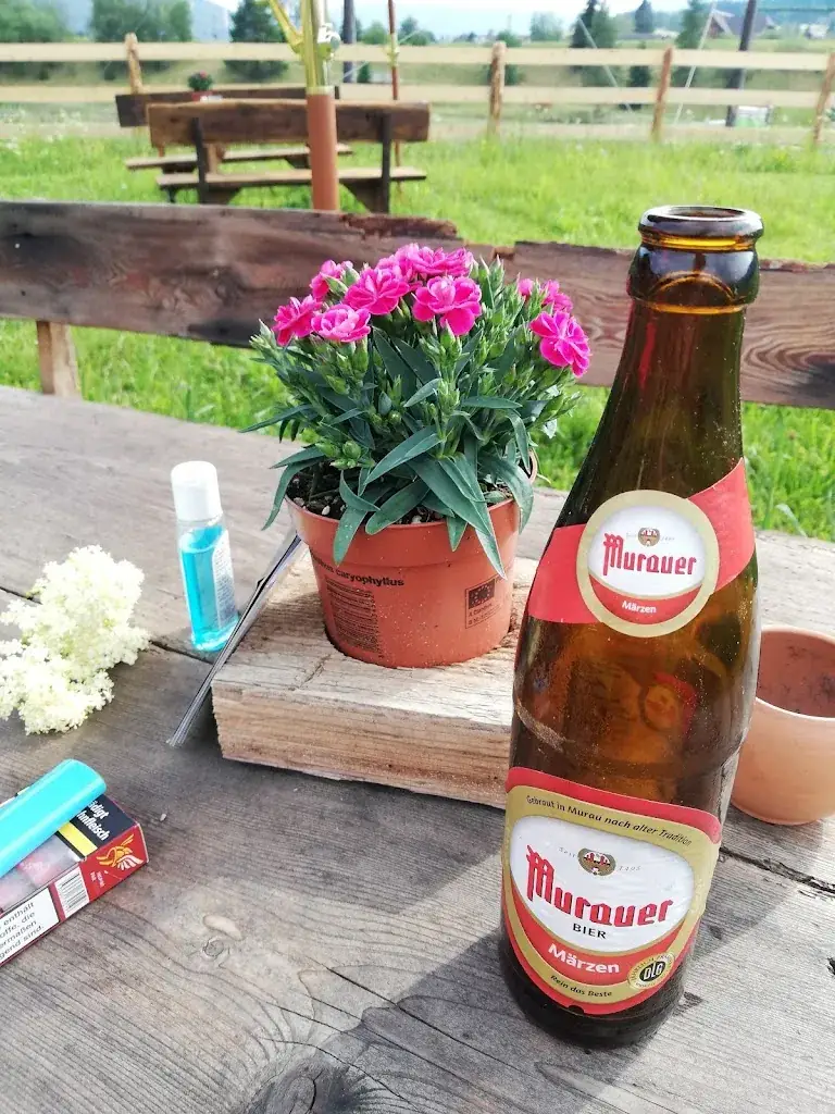 Menu_Rene's Feldküche - Fanning91_Mariapfarr_immagine_9