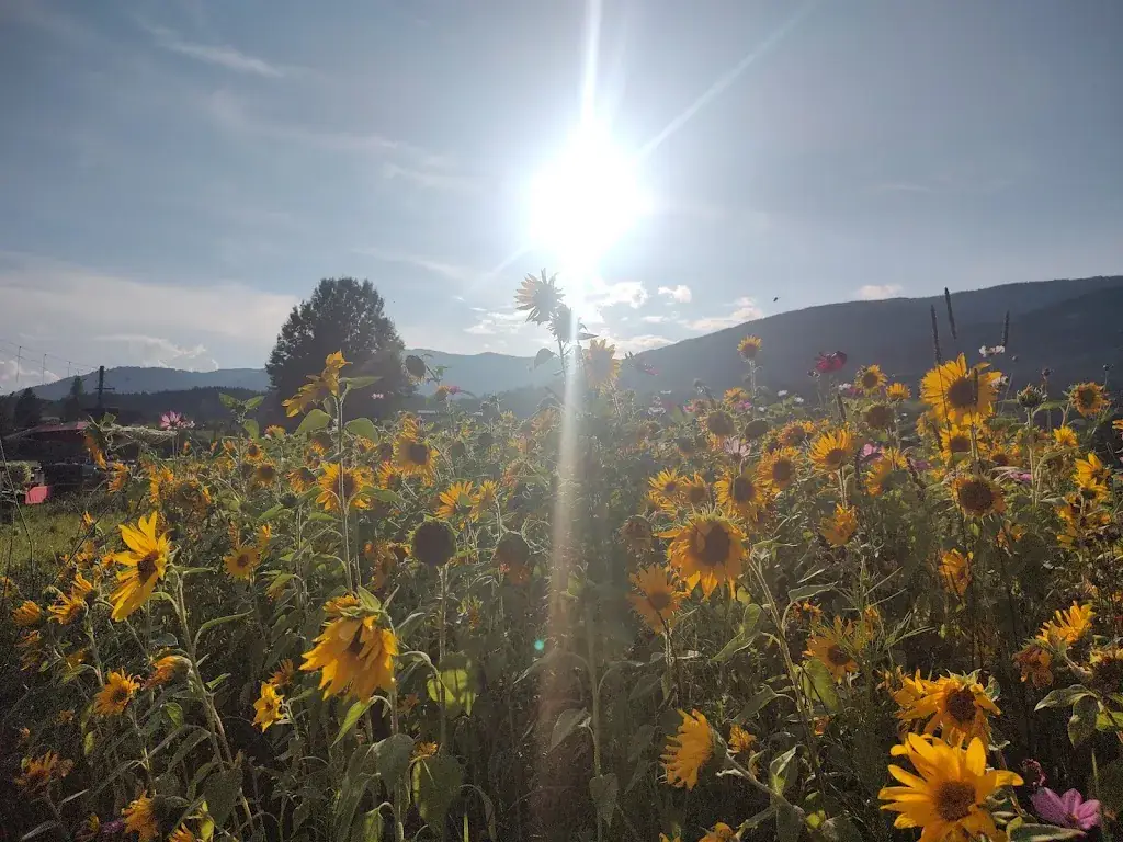DI Joachim Philipp_Rene's Feldküche - Fanning91_Mariapfarr_recensione