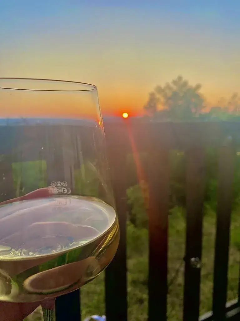 Nicol Ingram_Wirtshaus Schlössl_Nußdorf am Haunsberg_review