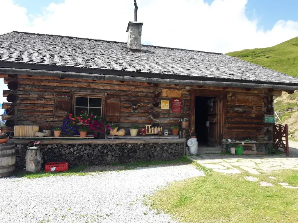 Jaroslav PTAAH_Hochsonnbergalm_Piesendorf_avis