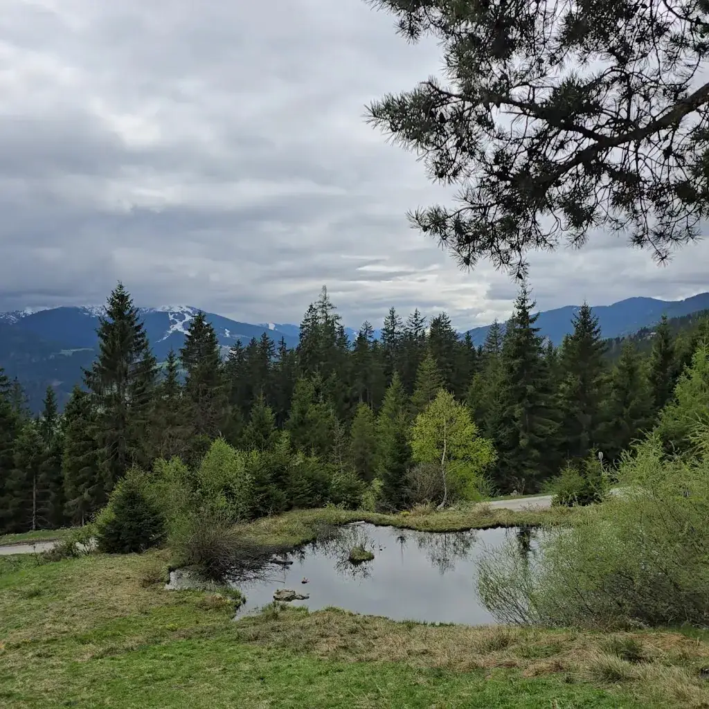 Benjamin Föckersperger_Bürgerbergalm - Radstadt_Radstadt_review