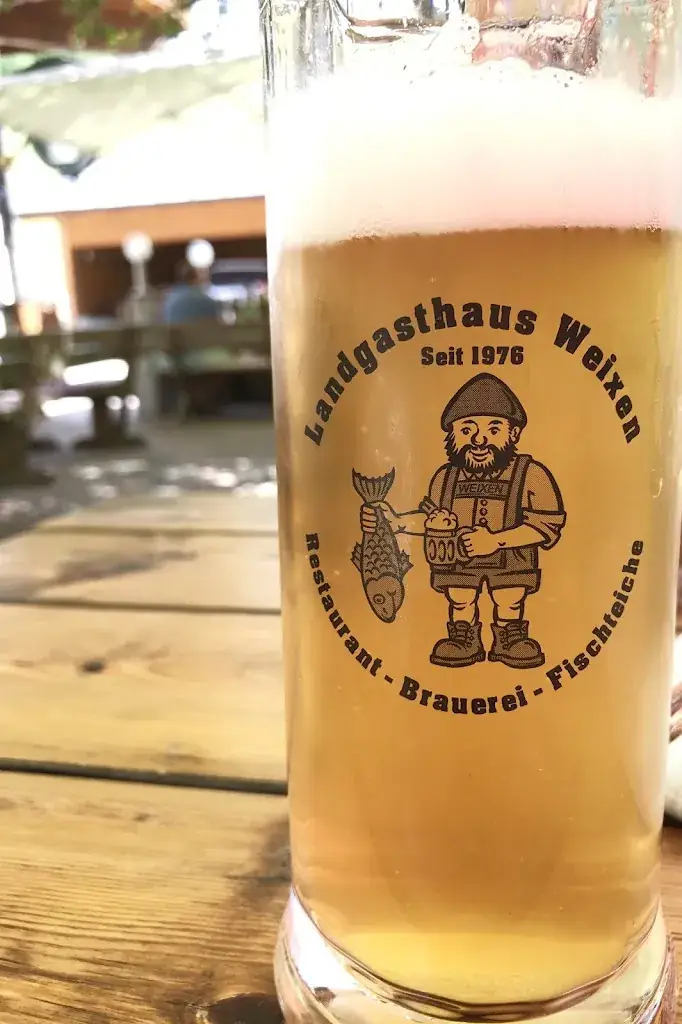 Menu_Landgasthaus Weixen - Familie Brandstätter_Rauris_immagine_6