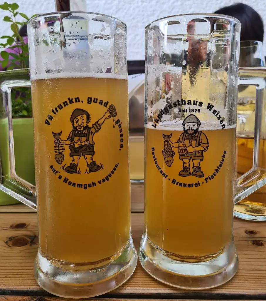 Wisn P._Landgasthaus Weixen - Familie Brandstätter_Rauris_recensione