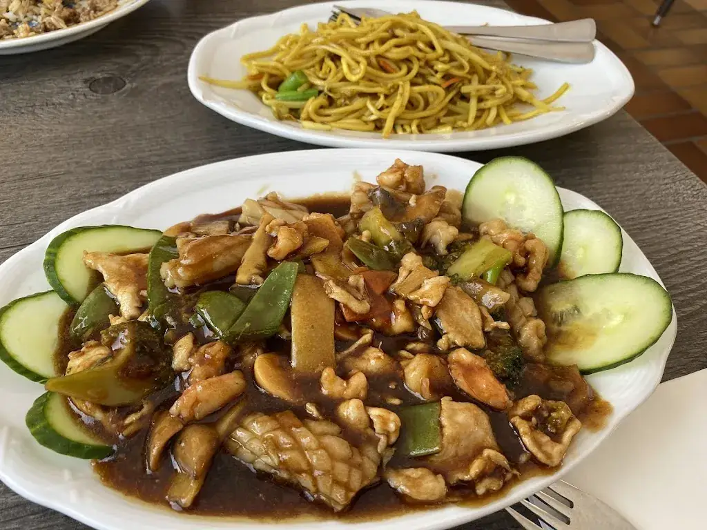 Menu_Chinarestaurant Lotus_Plankenau_image_9