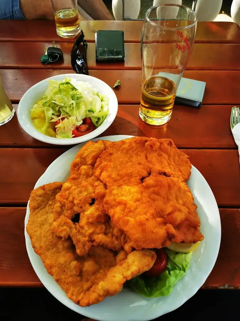 Péter Futó_Schnitzlwirt Gasthof Peck_Pamhagen_recensione