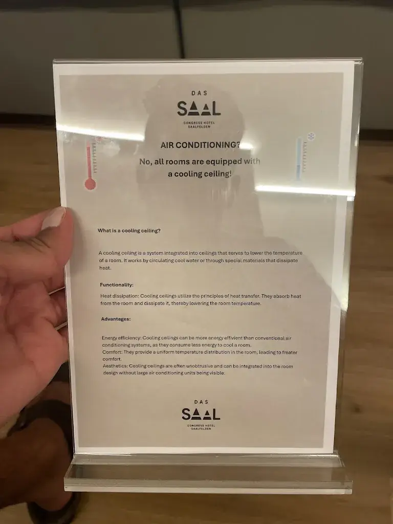 Tayyab Mustafa_DAS SAAL_Saalfelden am Steinernen Meer_avis