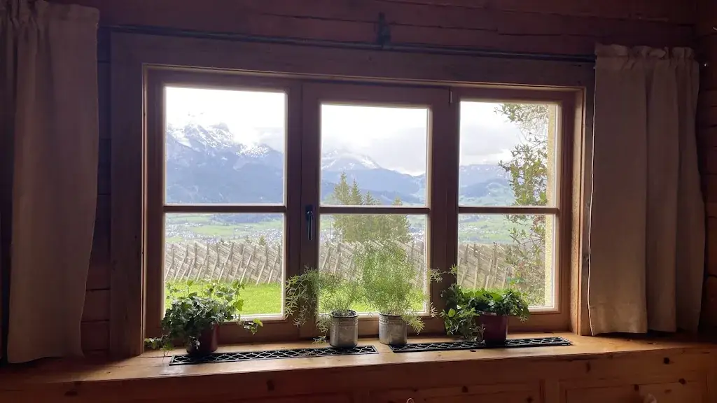 H Wilbrink_Huggenberg Restaurant / Accommodation_Saalfelden am Steinernen Meer_review