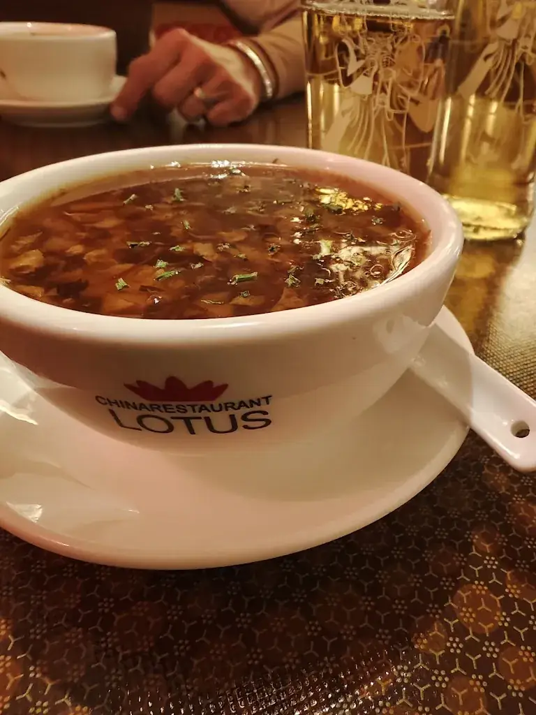 Menu_LOTUS Chinarestaurant_Saalfelden am Steinernen Meer_image_5