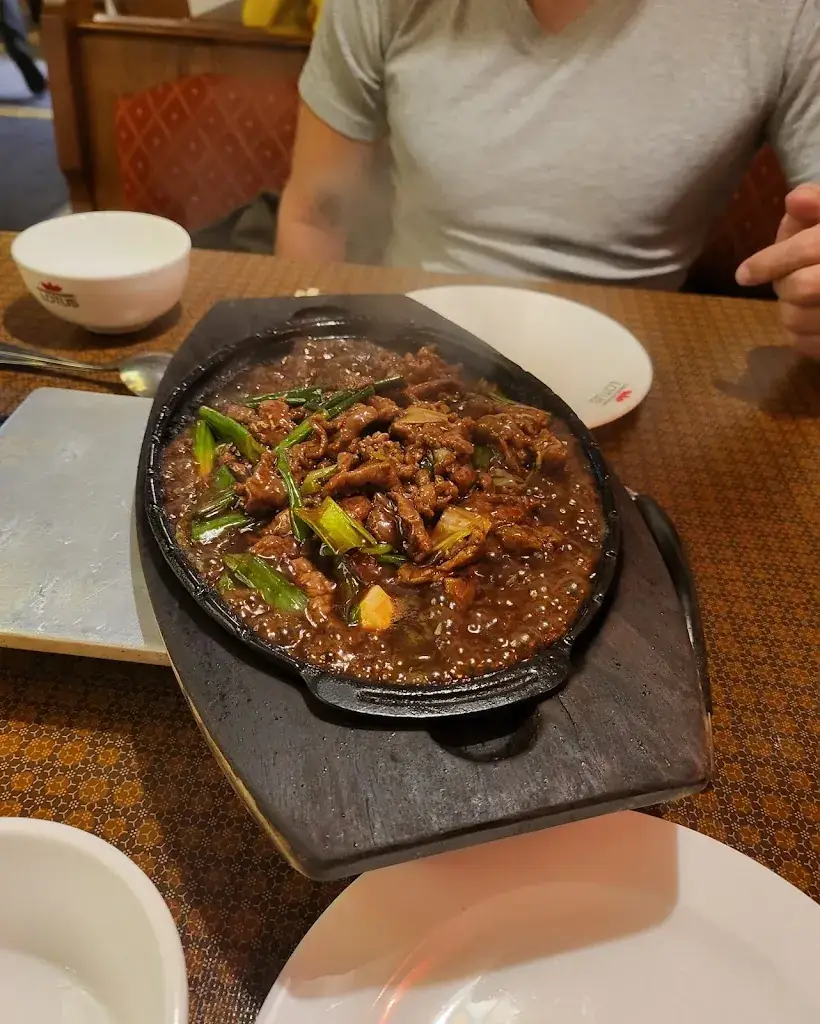 Amy Ricky Chan_LOTUS Chinarestaurant_Saalfelden am Steinernen Meer_review