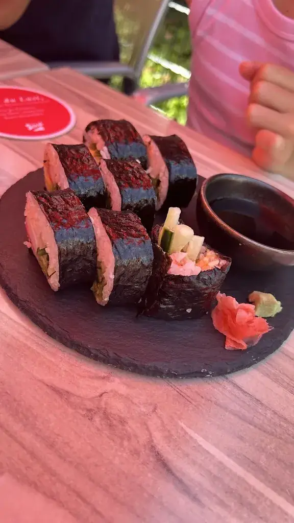 Anna D_Mount Everest _ Sushi & Grill_Saalfelden am Steinernen Meer_review