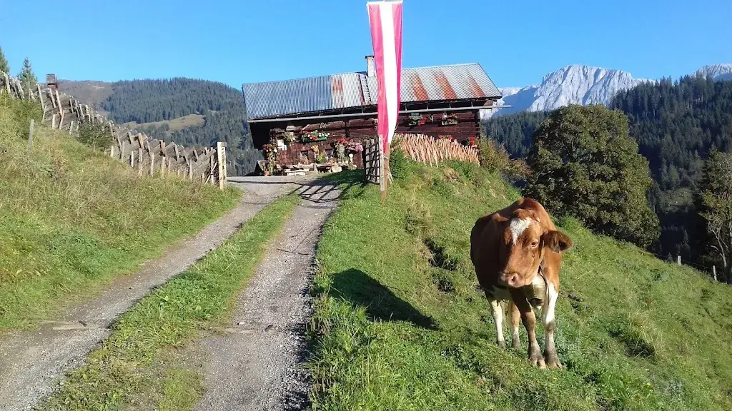 Stötzlbergalm_Sankt Veit im Pongau_slider_image_3