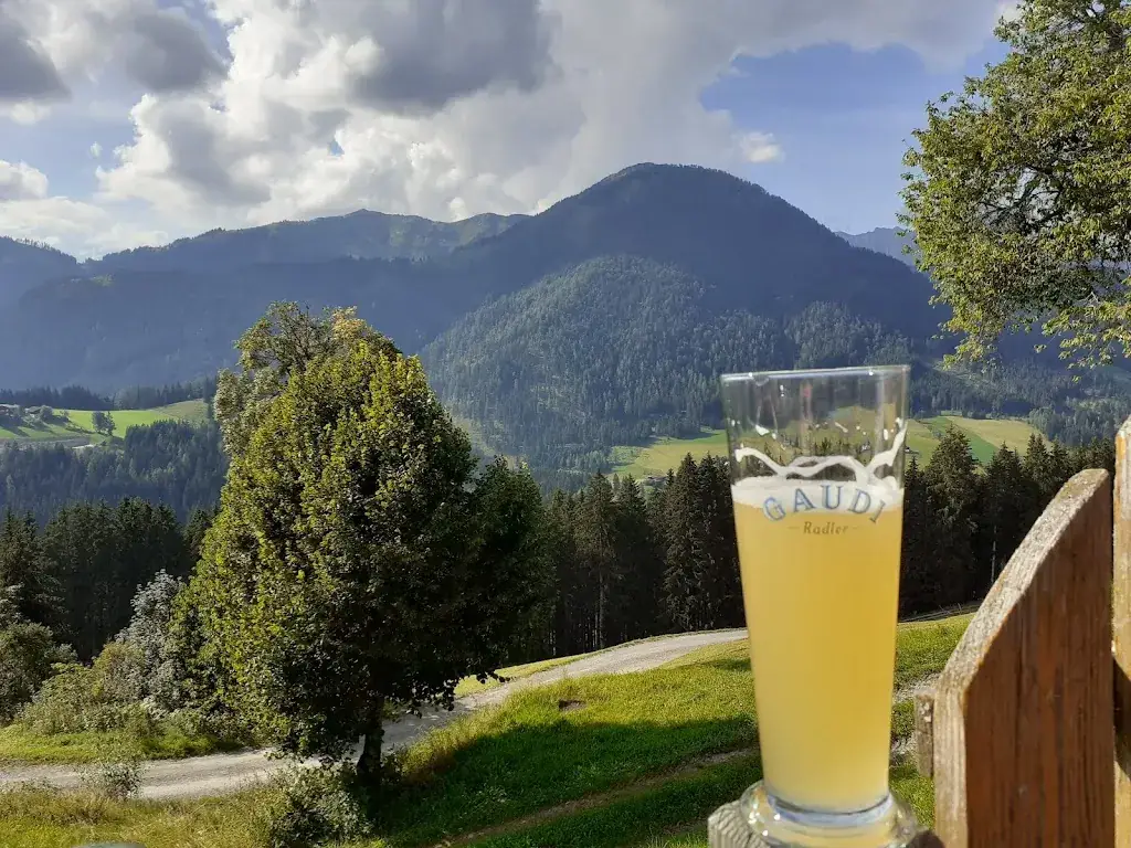 Menu_Höllalm_St. Martin of Tennengebirge_image_6