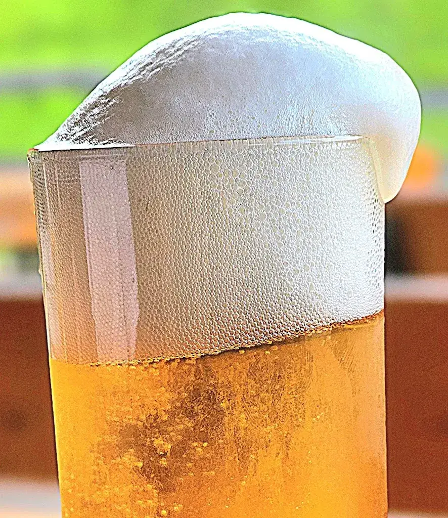 Menu_Höllalm_St. Martin of Tennengebirge_image_7