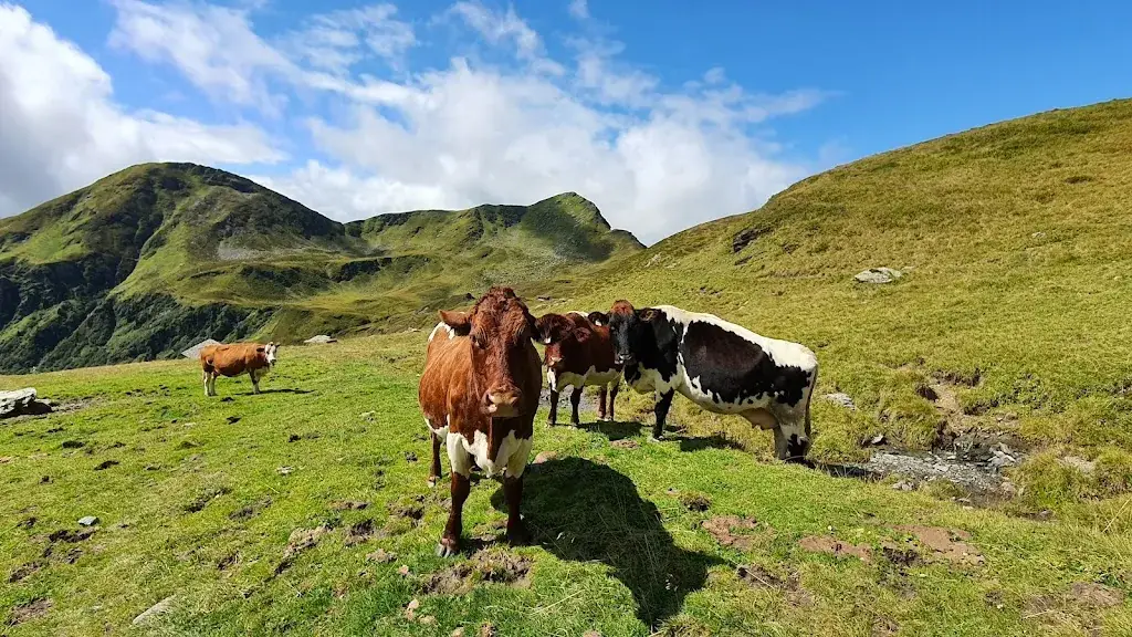 Bürgl Hut_Stuhlfelden_slider_image_3