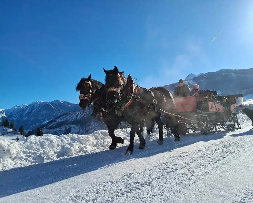 Gasthof Ziegelhütte_Taxenbach_slider_image_1