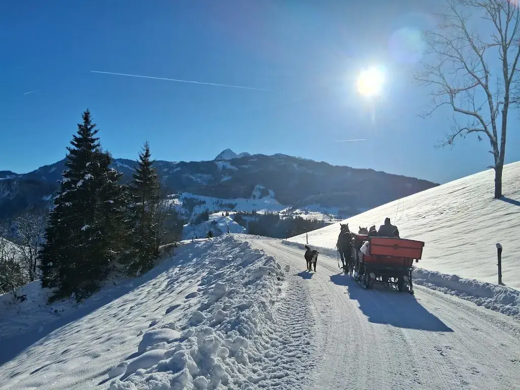 Gasthof Ziegelhütte_Taxenbach_slider_image_2