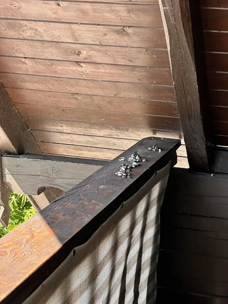 Elena M_Hotel Litzlberger Keller_Seewalchen_avis