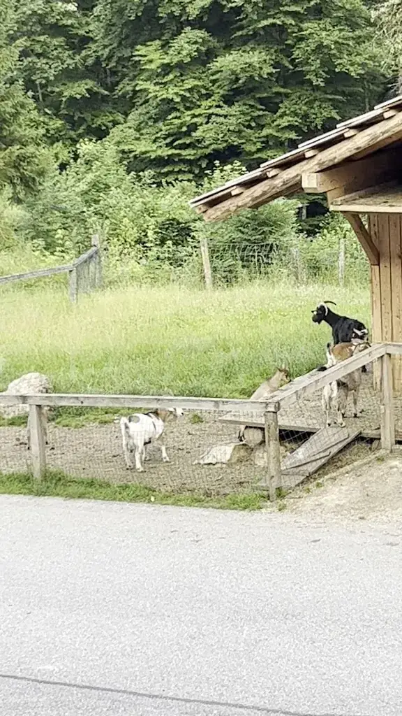 Eitan Kalinhoff_Restaurant Kleefeld_Strobl_review