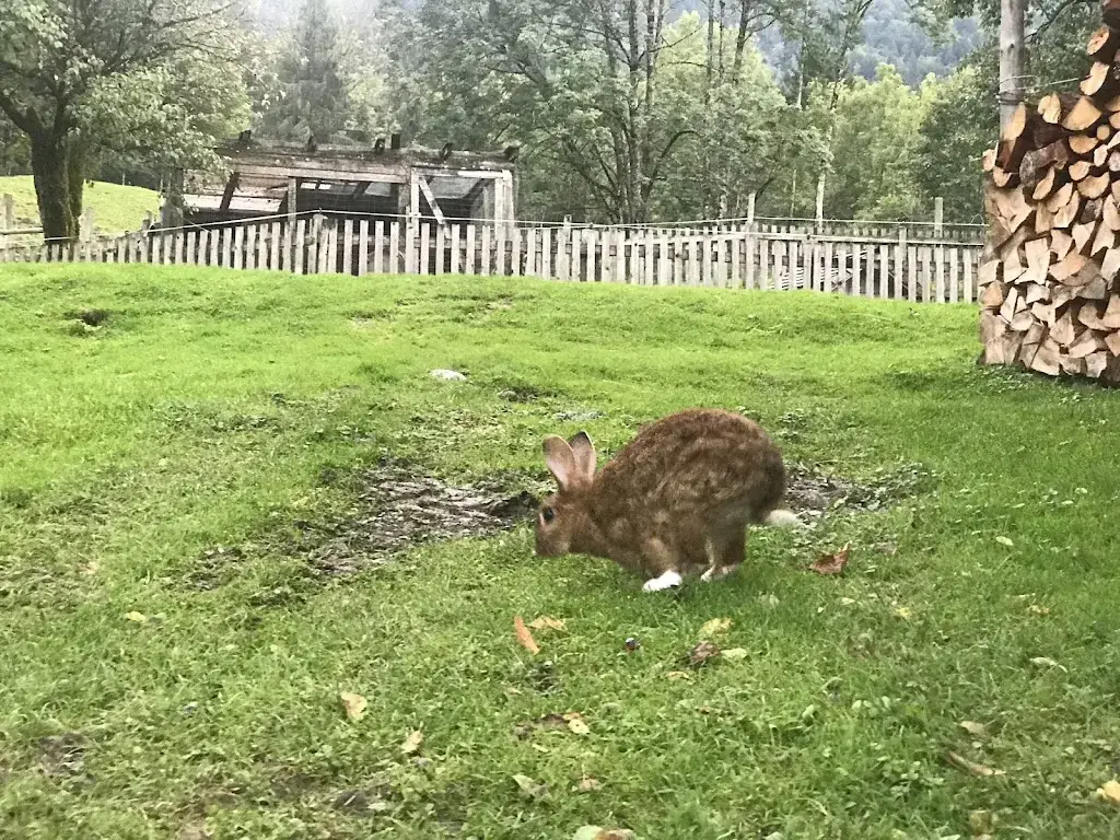 Mustafa Güngör_Gasthof Mahdhäusl_Strobl_review