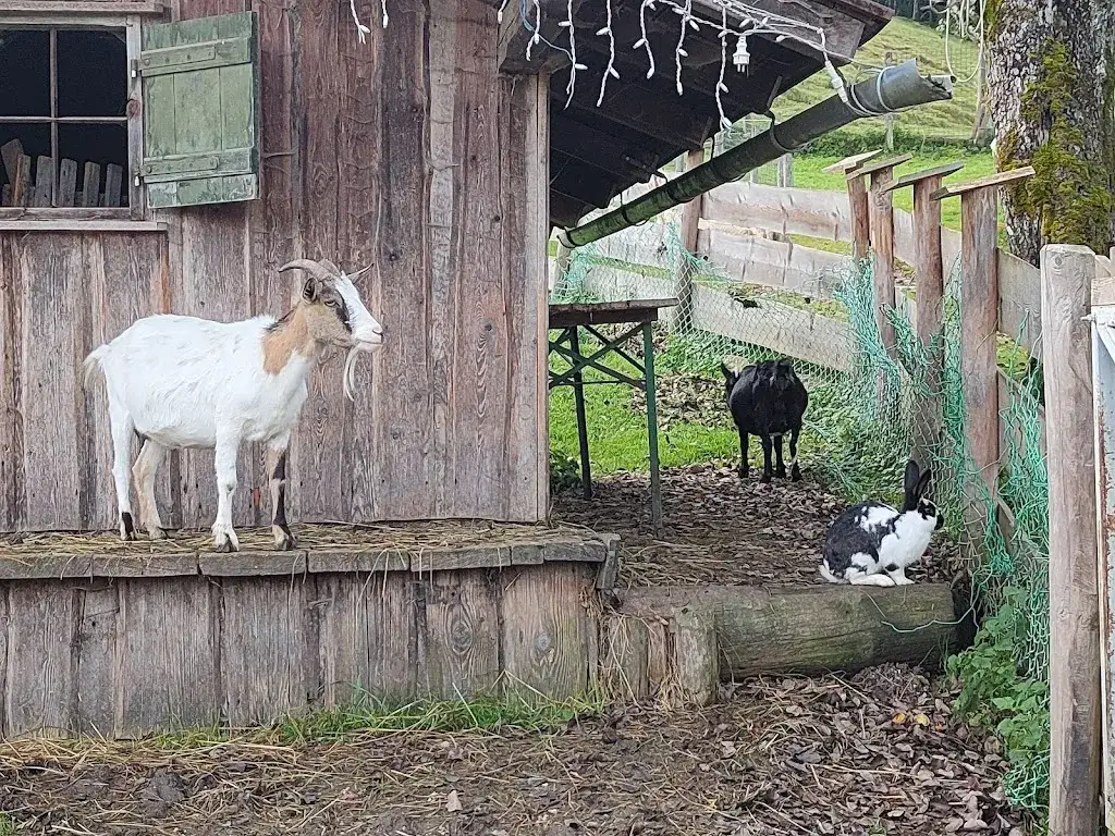 Gasthof Mahdhäusl_Strobl_slider_image_3