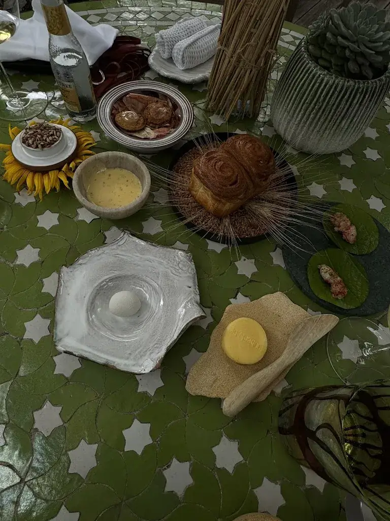 Marjola Qatipi_taubenkobel_Oslip_review