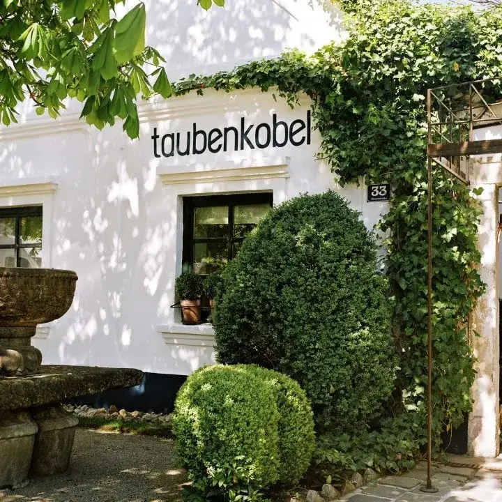 taubenkobel ristorante a Oslip