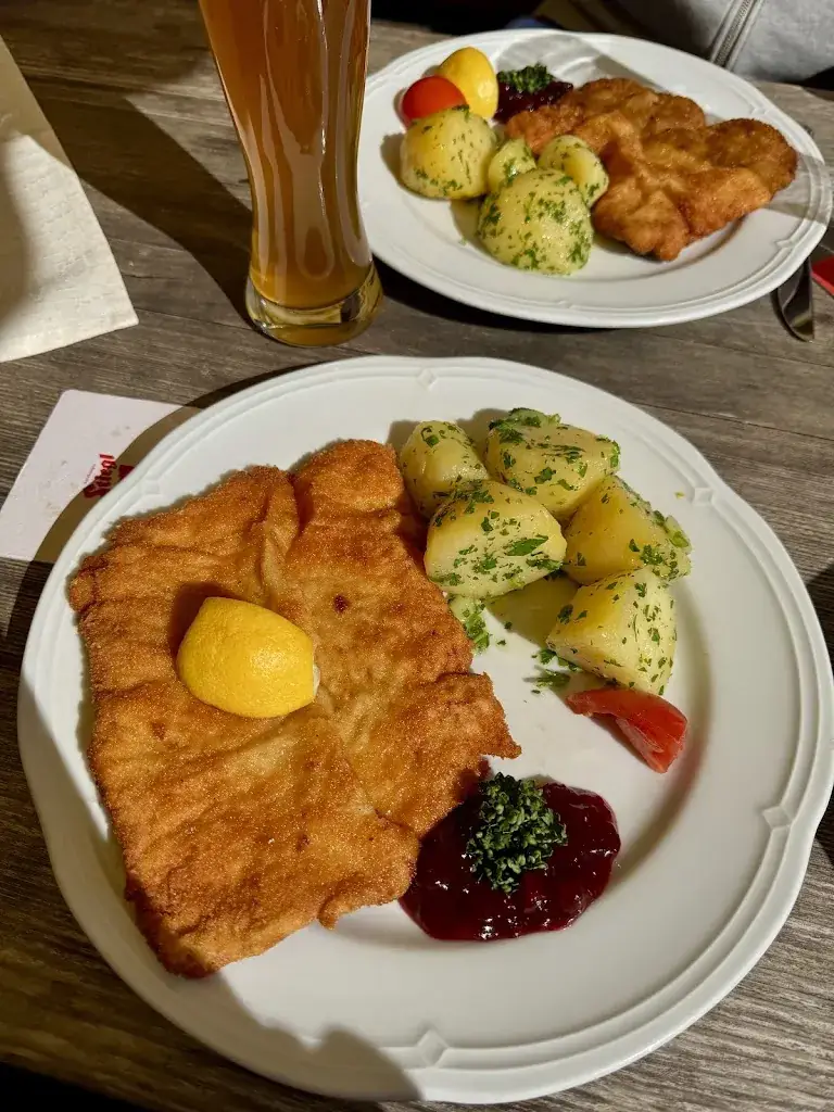 Olena Kudaieva_Dorf-Alm zu St. Wolfgang_Strobl_review