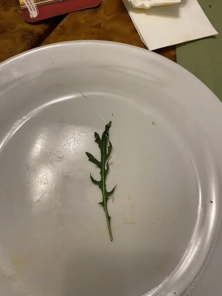 Adam_Dorfer Restaurant ~ Pizzeria_Uttendorf_recensione