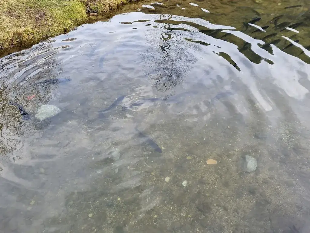 Wildparkstüberl_Untertauern_slider_image_3