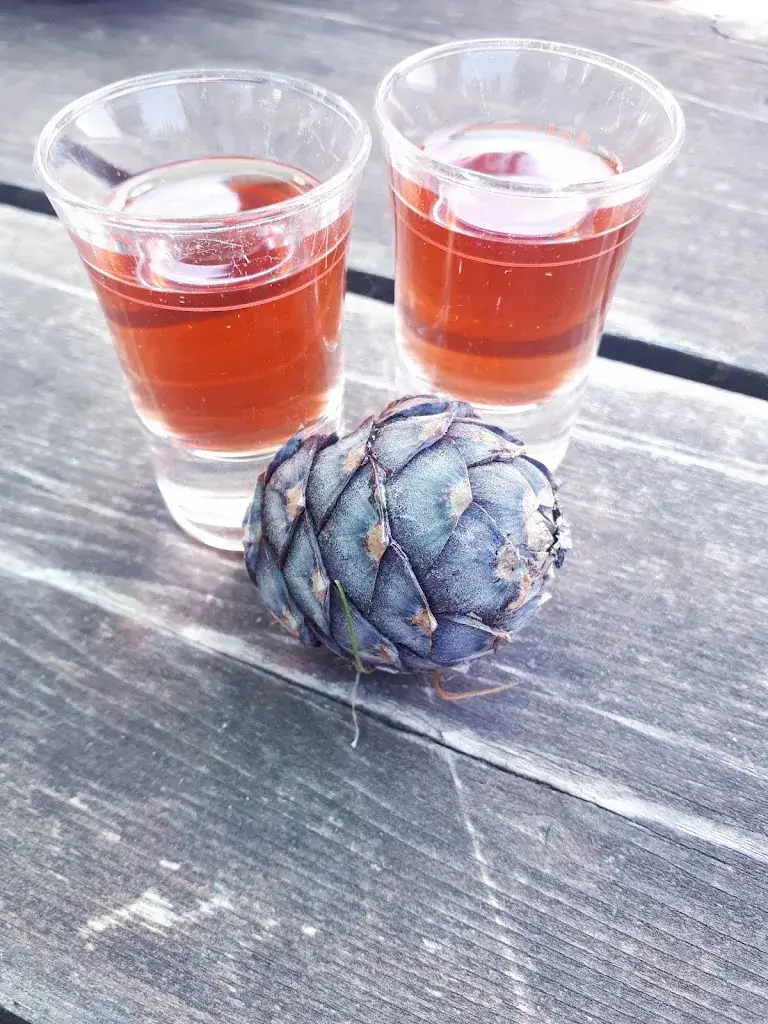 Menu_Tauernkaralm_Untertauern_immagine_7